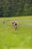 xdsc_0454-2.jpg