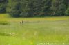 xdsc_0462-2.jpg