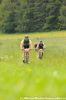 xdsc_0469-2.jpg