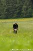 xdsc_0490-2.jpg