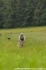 xdsc_0492-2.jpg