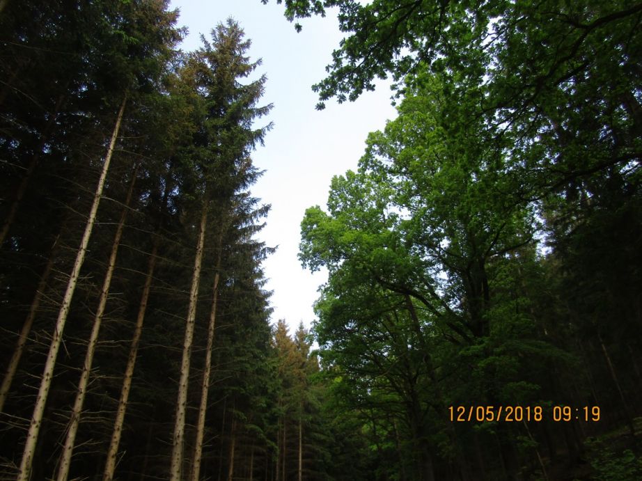 Den_deti_266.JPG