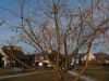 2015-03-24_Vajickovnik_28329.jpg