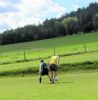 Hamry-fotbal_2016_283029.JPG