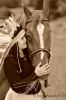 MBA_2887-1_286429.jpg