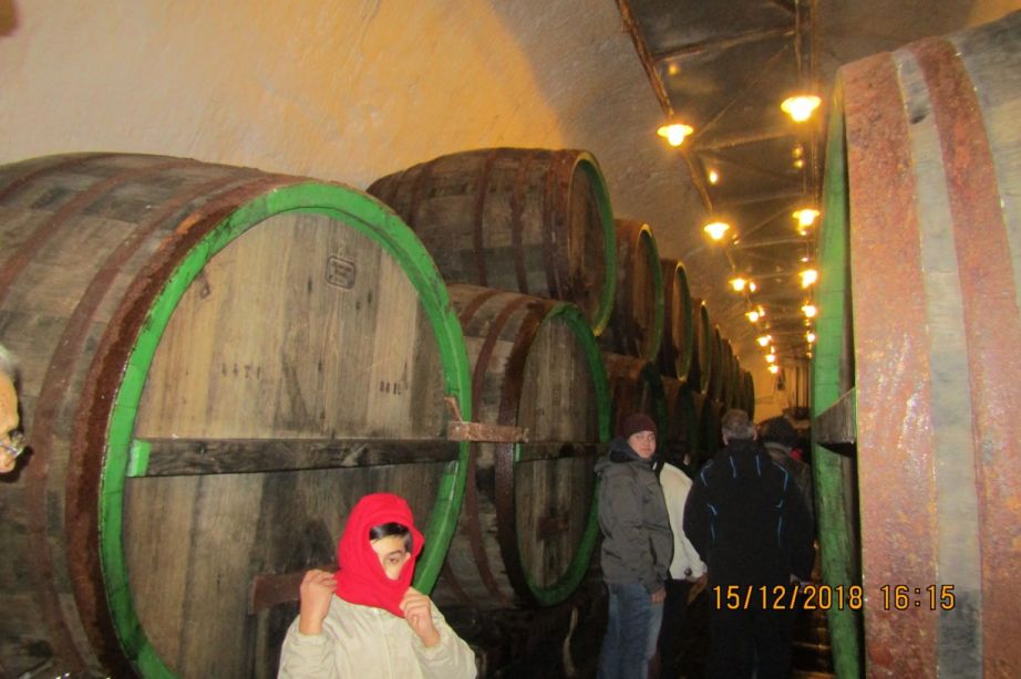 Vylet_do_Plzne_130.JPG