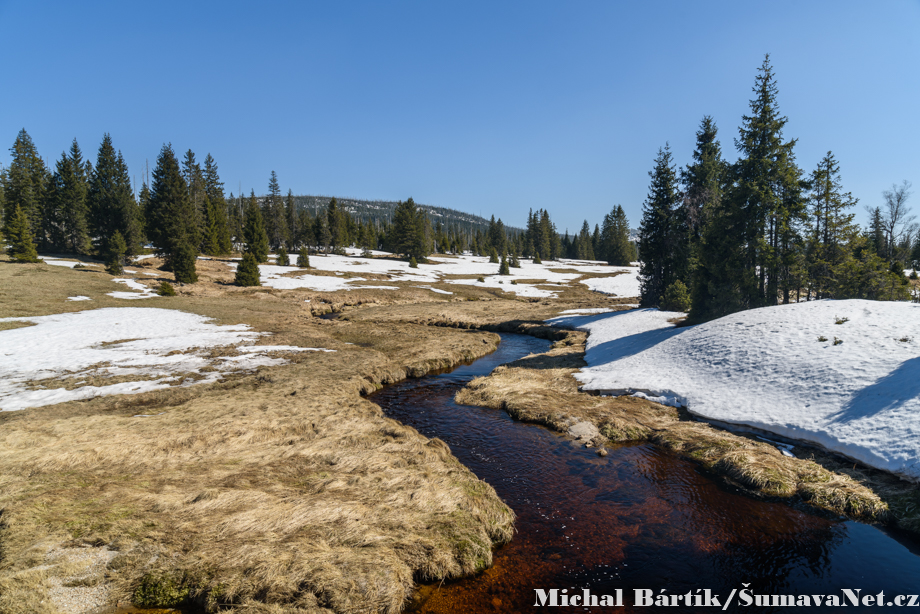 BAR_4318_sumavanet_28229.jpg