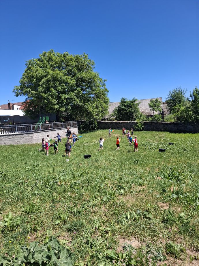 20260529_132049.jpg