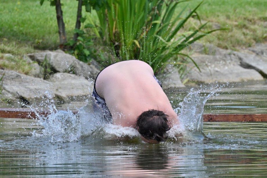 DSC_0104.jpg