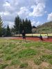 20260417_132305.jpg