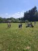 20260624_140209.jpg