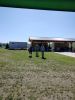IMG-20250626-WA0049.jpg