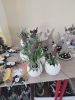 IMG20250411134200.jpg