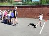 IMG20260529094944.jpg