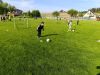 IMG_20250514_085226.jpg